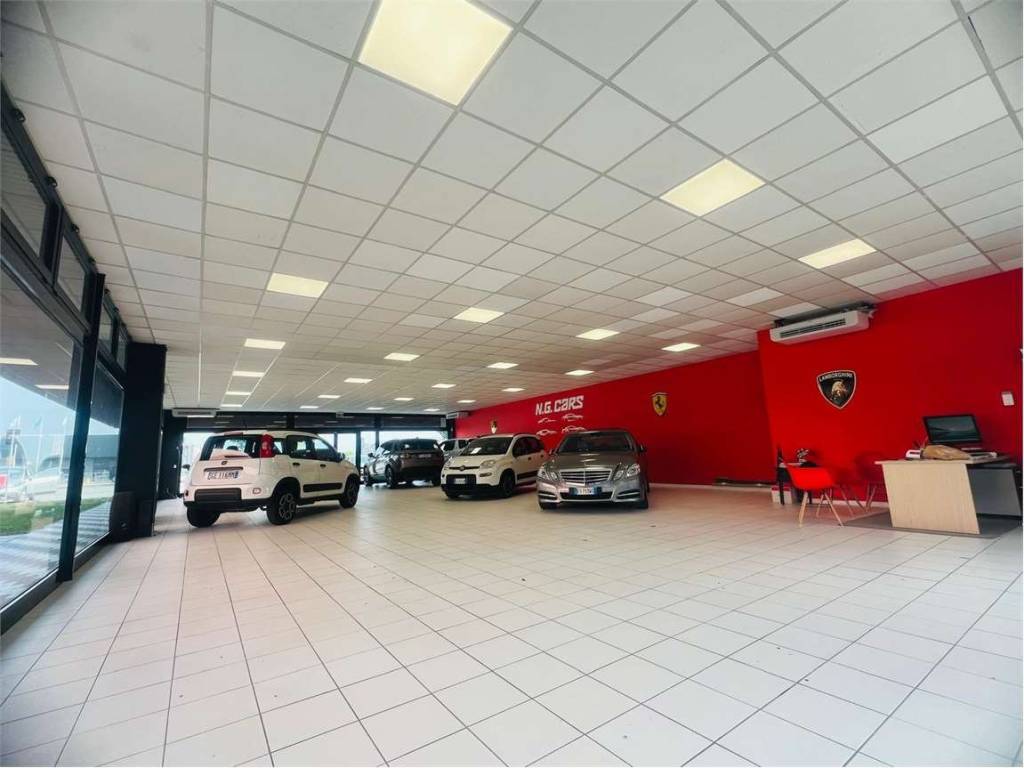 immagine annuncio 3 di 5