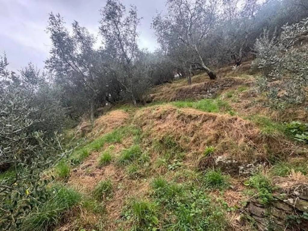 immagine annuncio 3 di 4