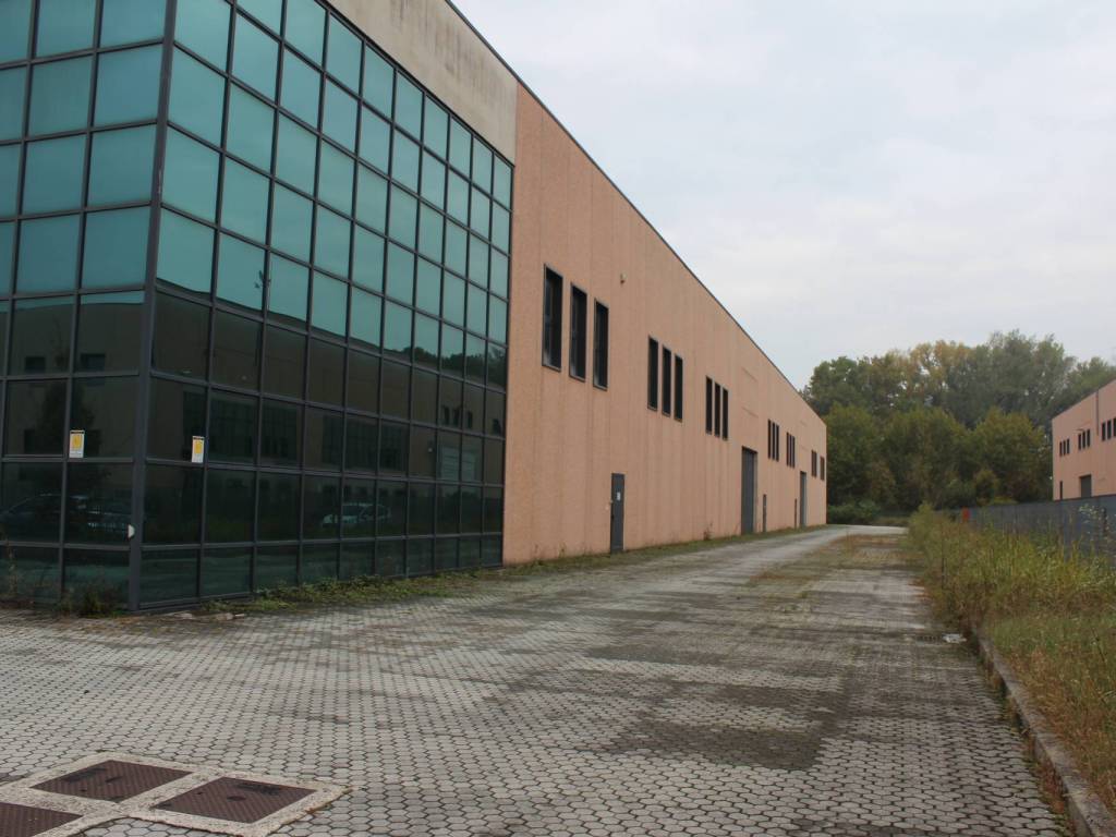 immagine annuncio 3 di 5