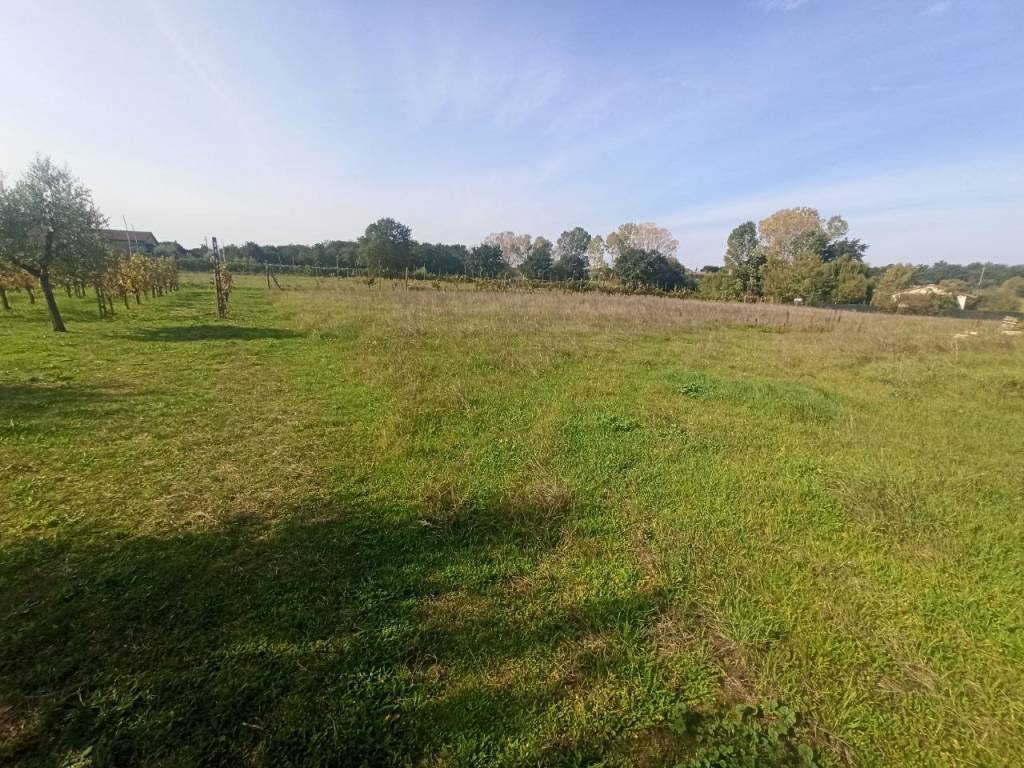 immagine annuncio 1 di 4