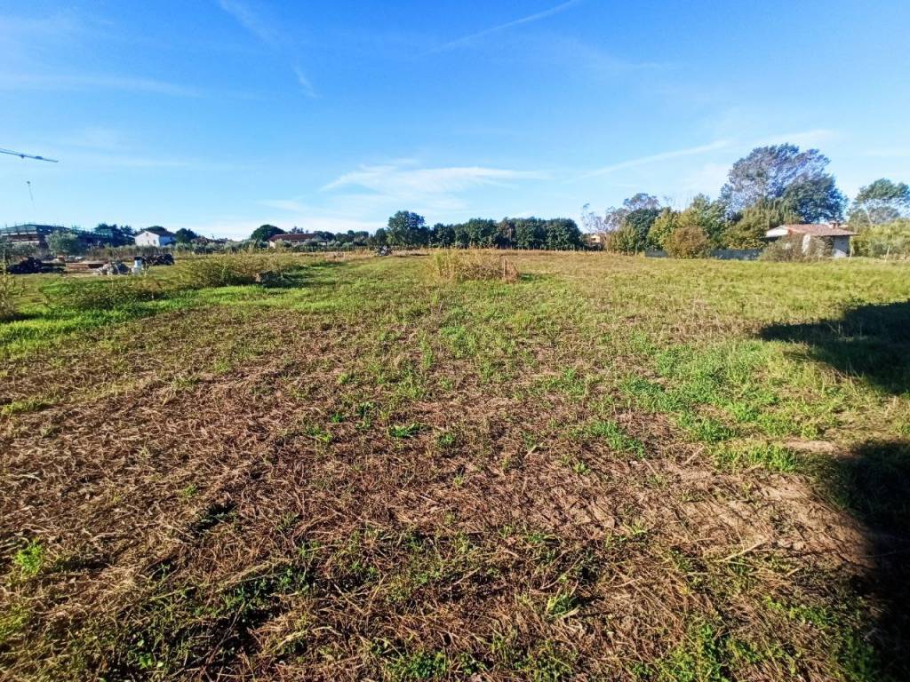 immagine annuncio 3 di 4