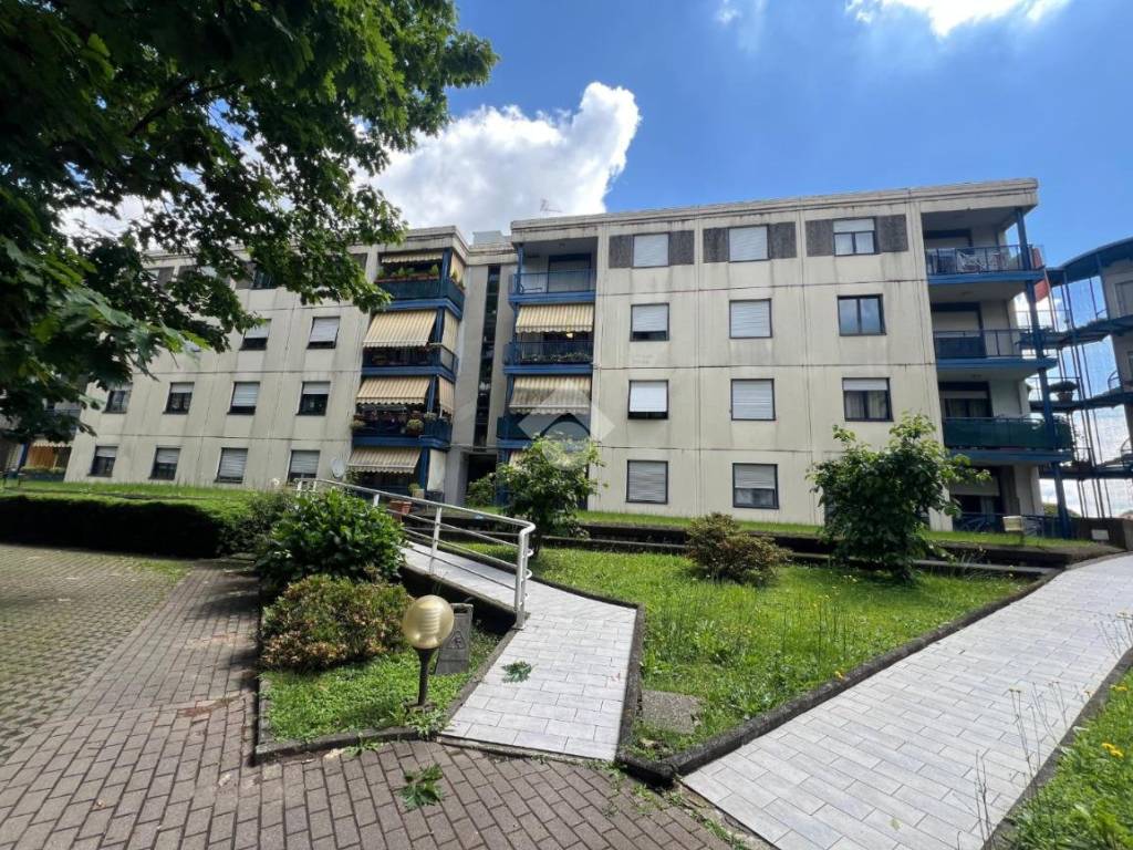 immagine annuncio 2 di 5