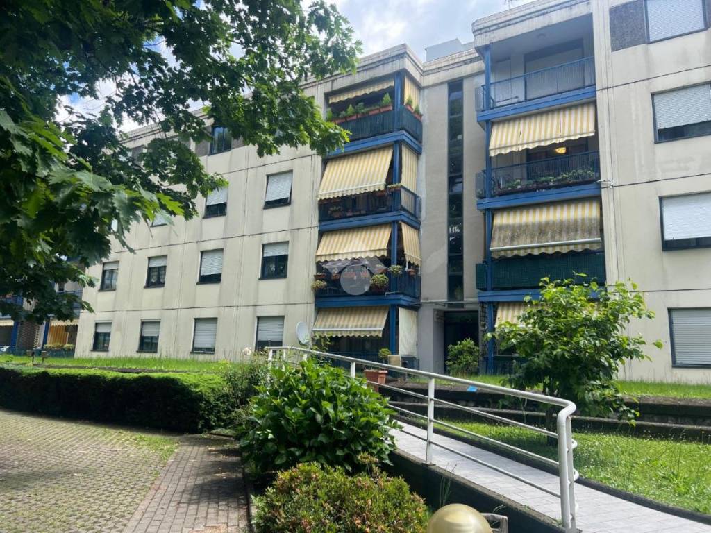 immagine annuncio 4 di 5