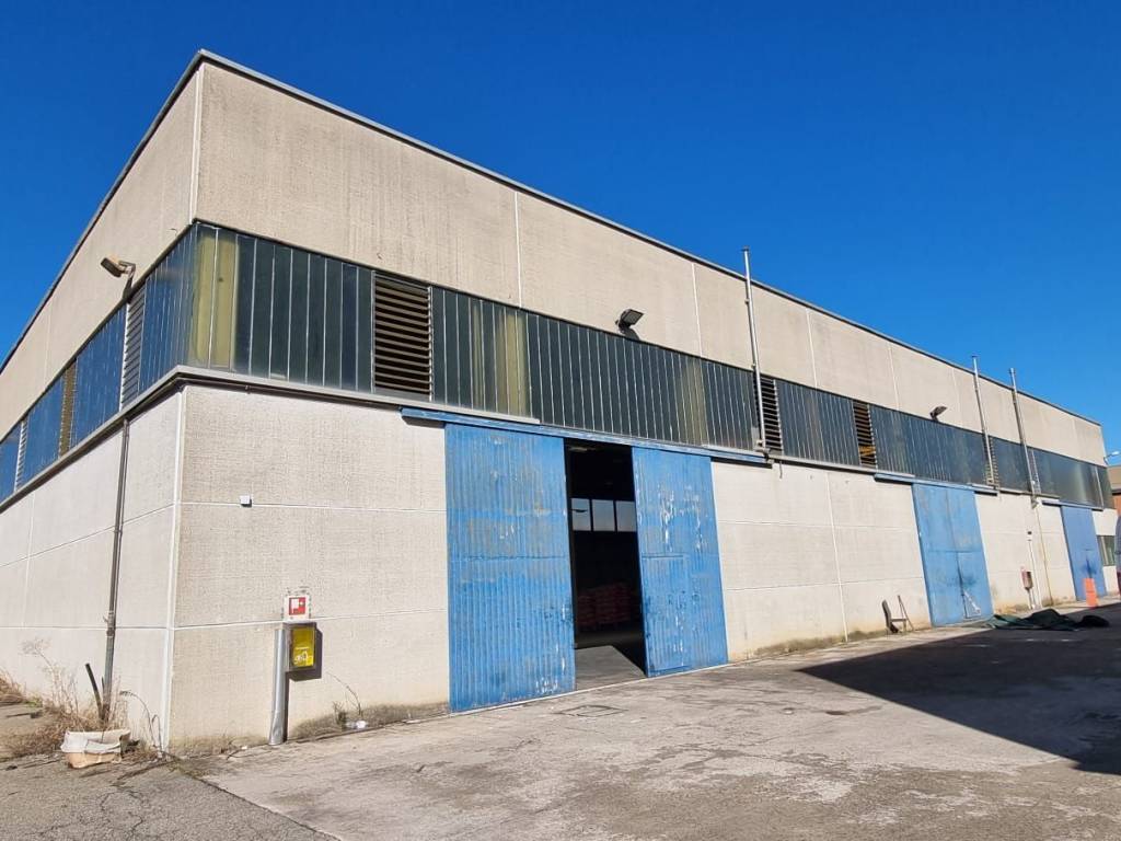 immagine annuncio 1 di 5