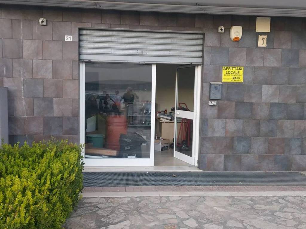 immagine annuncio 1 di 4