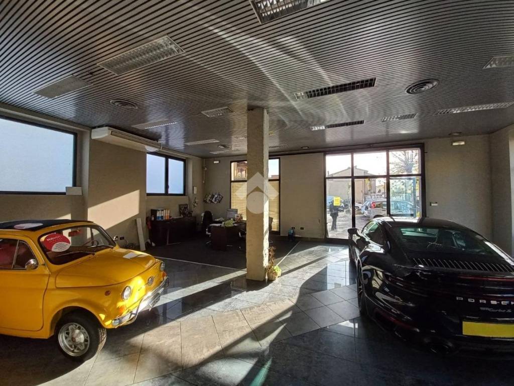 immagine annuncio 4 di 5