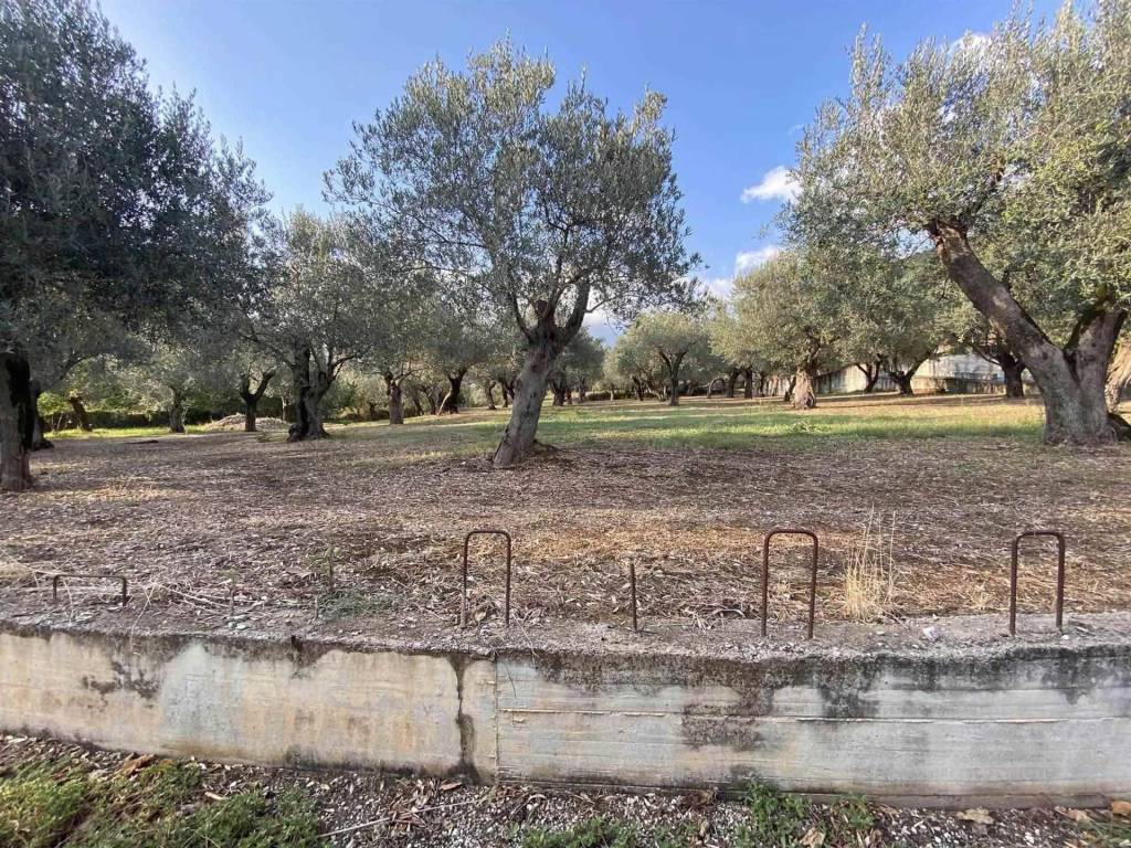 immagine annuncio 1 di 3