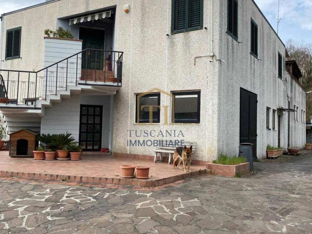 immagine annuncio 1 di 4