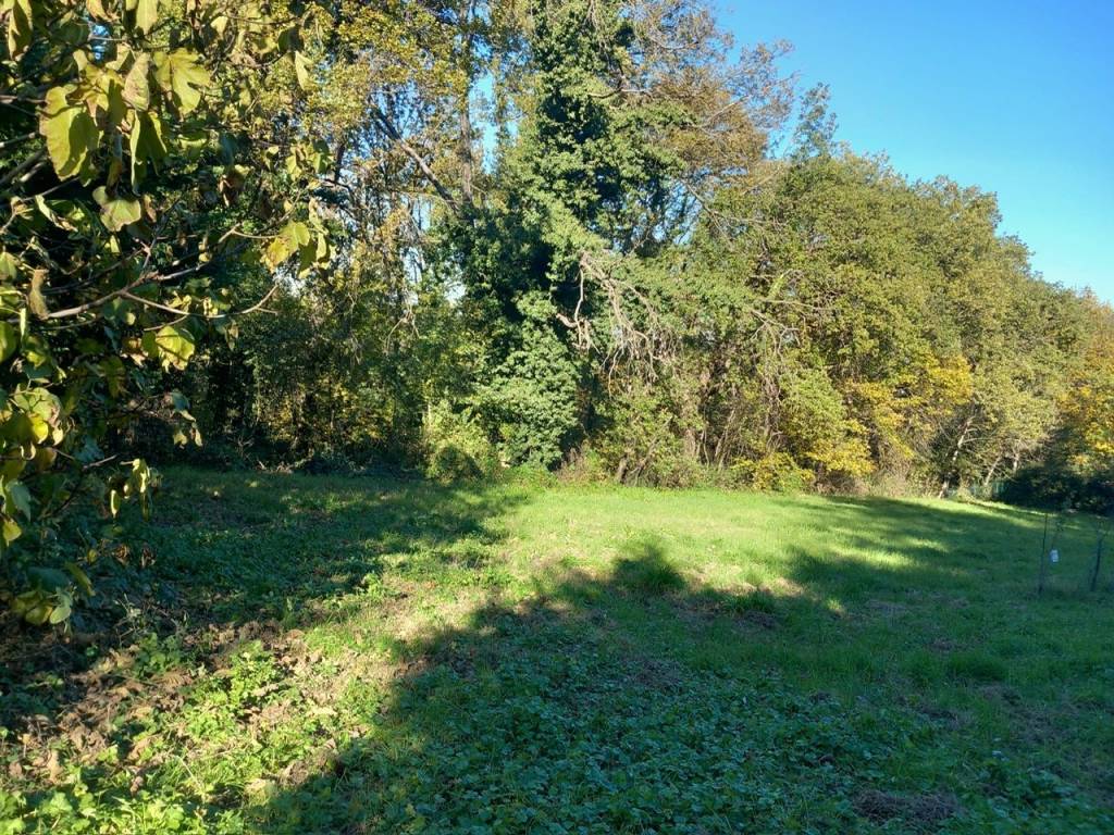 immagine annuncio 1 di 2