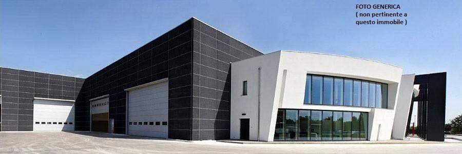 immagine annuncio 2 di 3