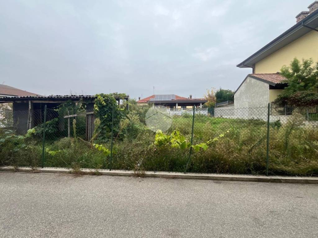 immagine annuncio 2 di 4