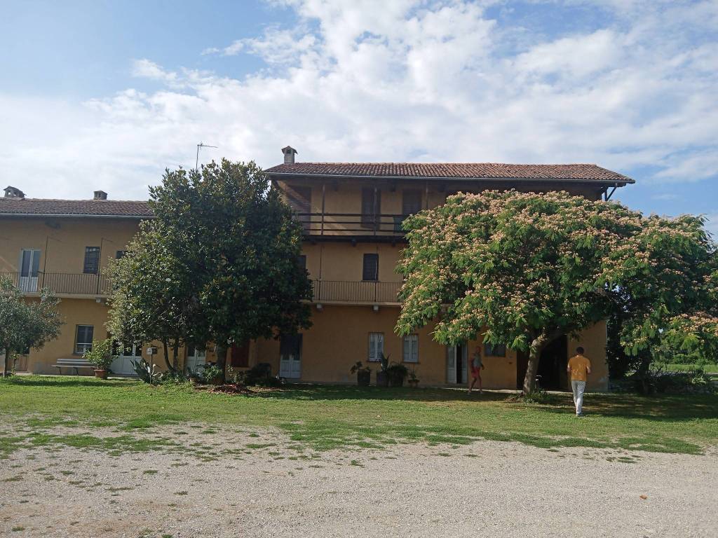 immagine annuncio 2 di 5