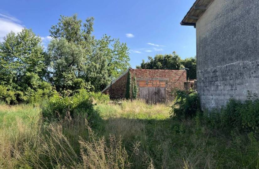 immagine annuncio 1 di 3