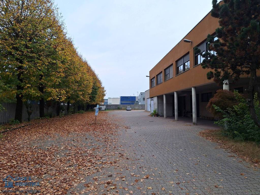 immagine annuncio 1 di 5