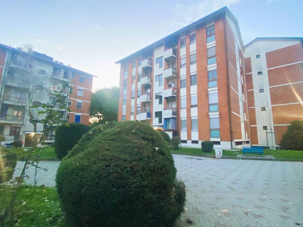 immagine annuncio 2 di 5