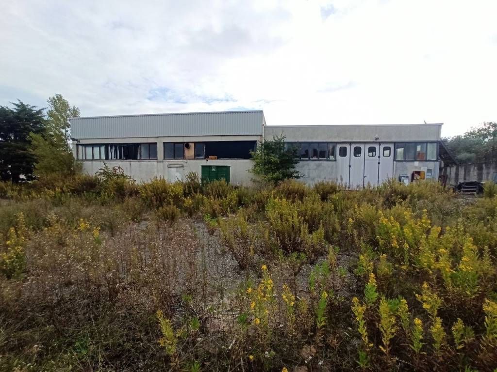 immagine annuncio 4 di 5