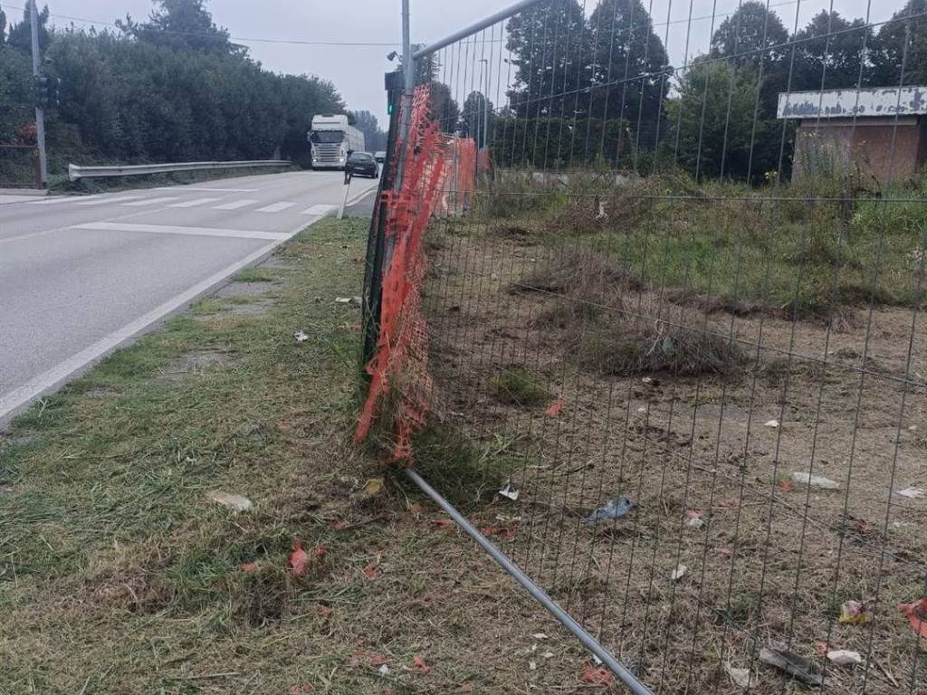 immagine annuncio 2 di 4