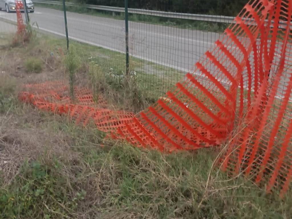 immagine annuncio 3 di 4