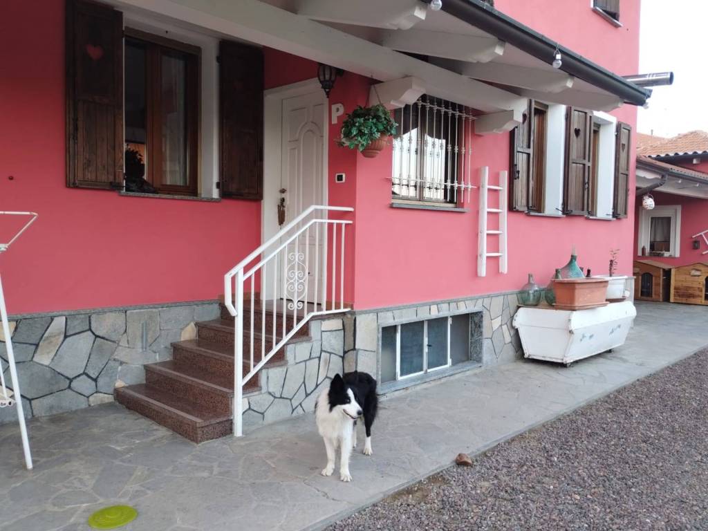 immagine annuncio 2 di 5