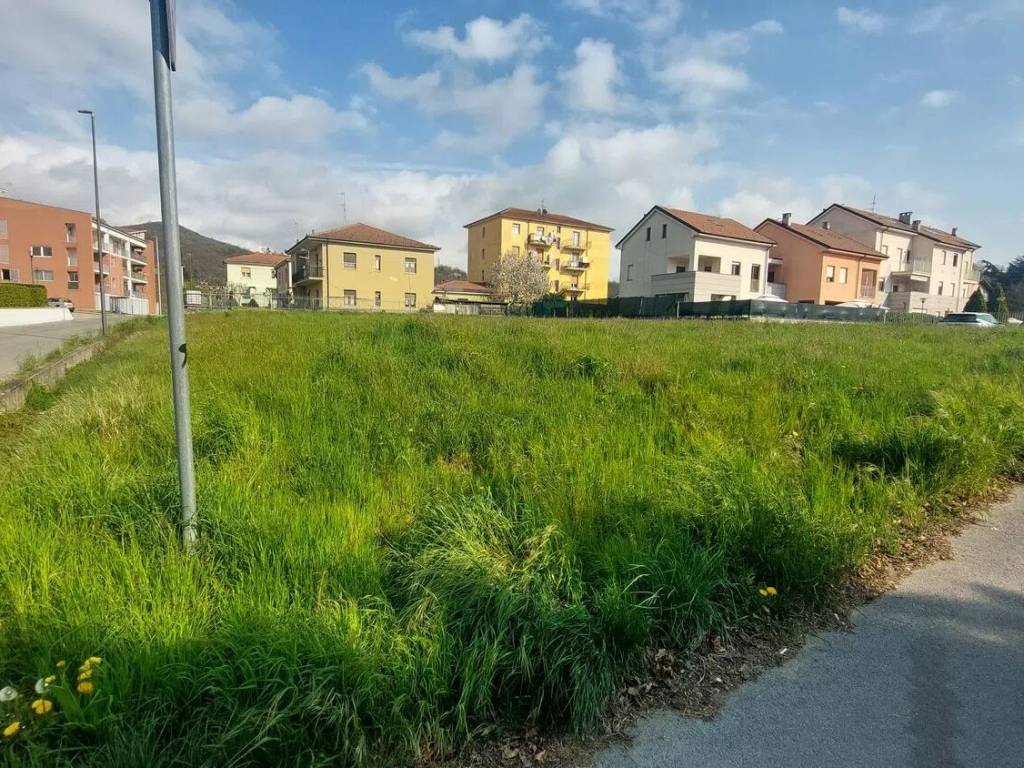 immagine annuncio 2 di 4