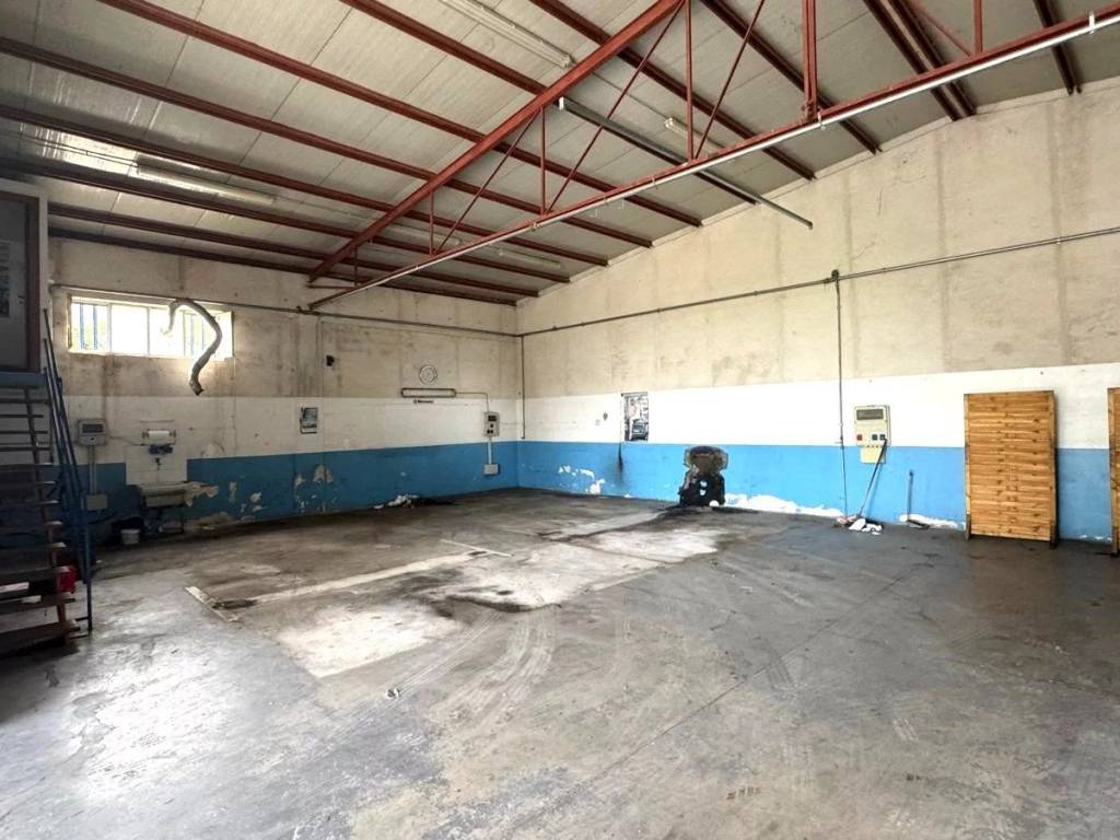 immagine annuncio 2 di 5