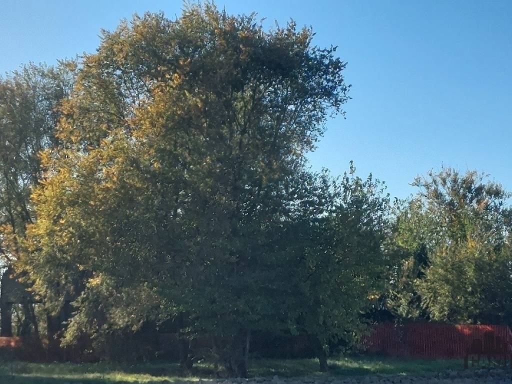 terreno edificabile in vendita a Sorbolo Mezzani in zona Sorbolo