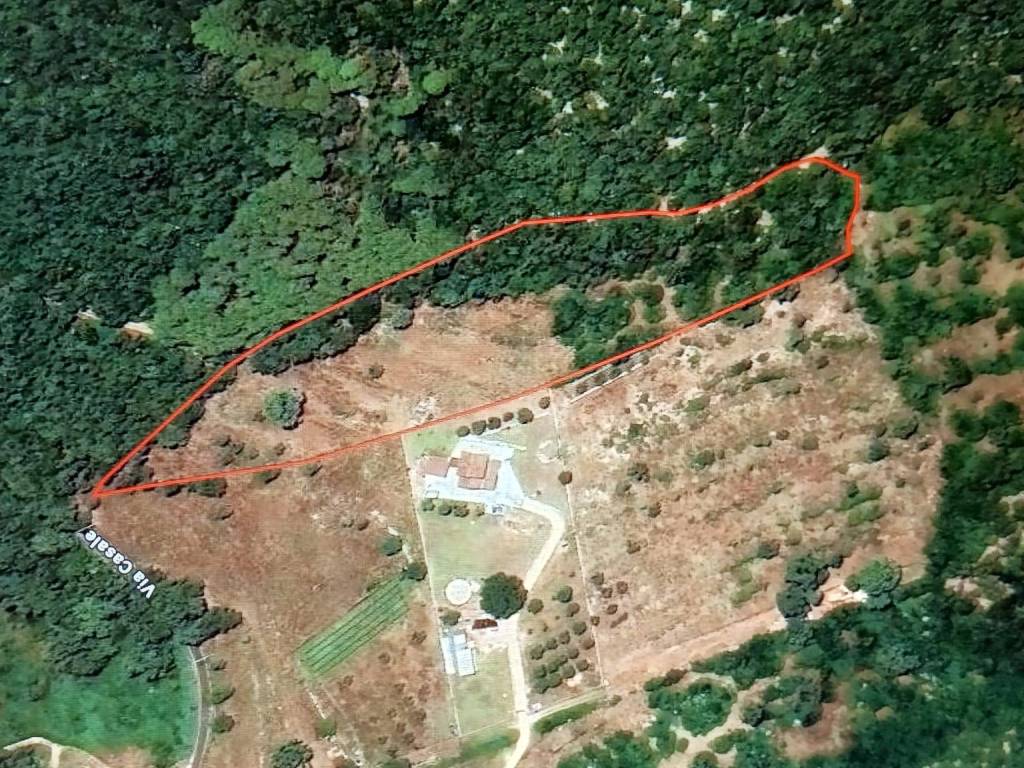 immagine annuncio 2 di 3