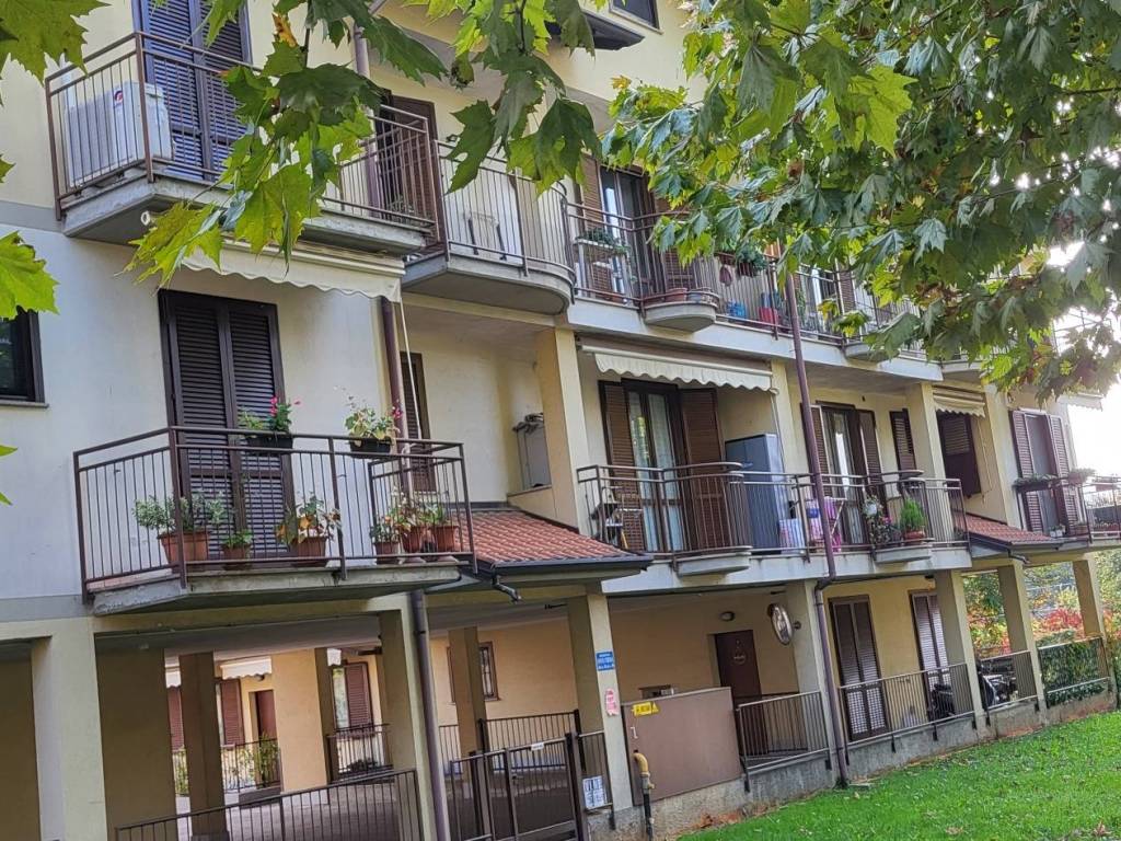 immagine annuncio 2 di 5