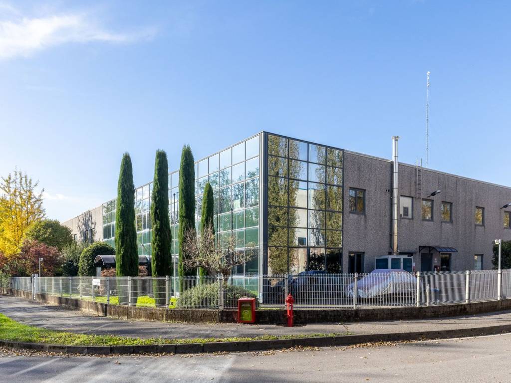 immagine annuncio 2 di 5