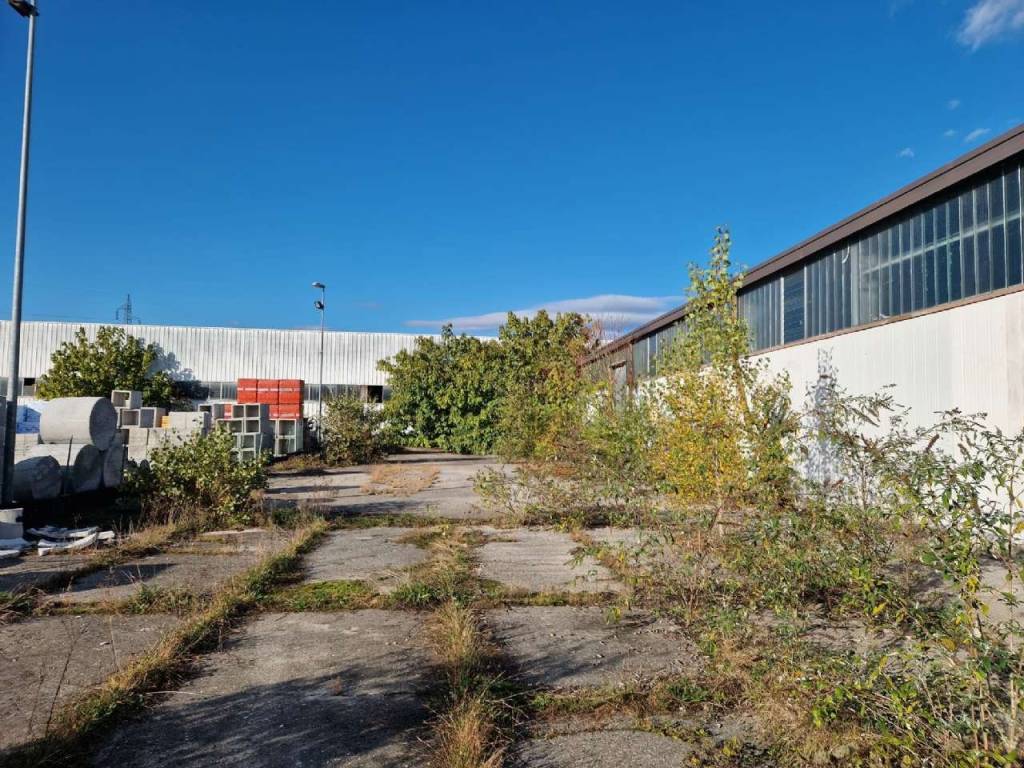 immagine annuncio 2 di 5