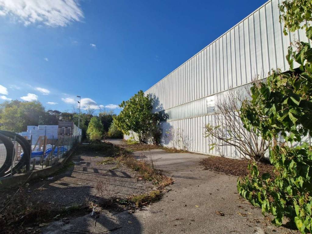 immagine annuncio 4 di 5