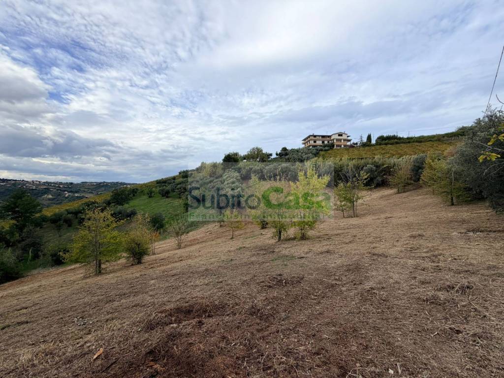 immagine annuncio 1 di 4