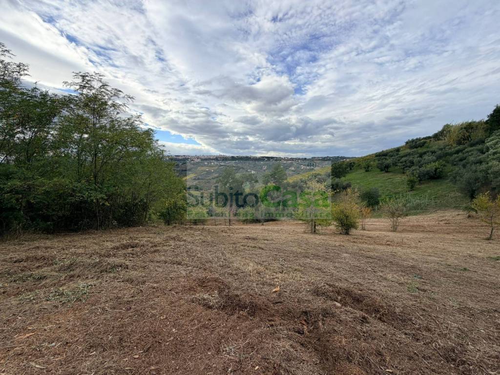 immagine annuncio 2 di 4