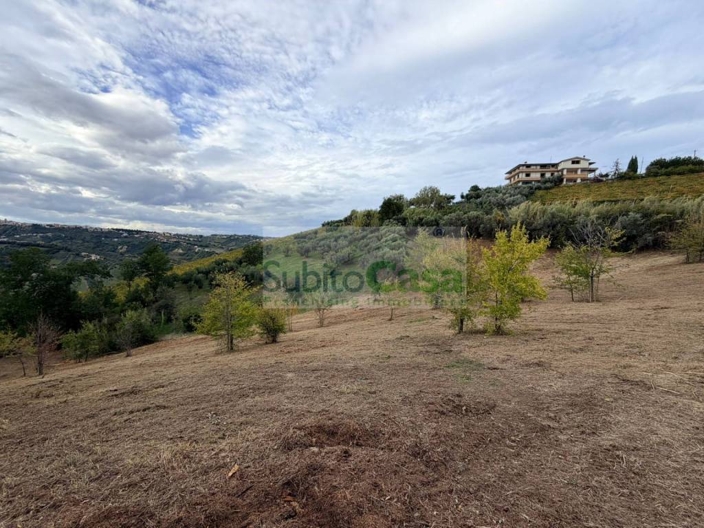 immagine annuncio 3 di 4