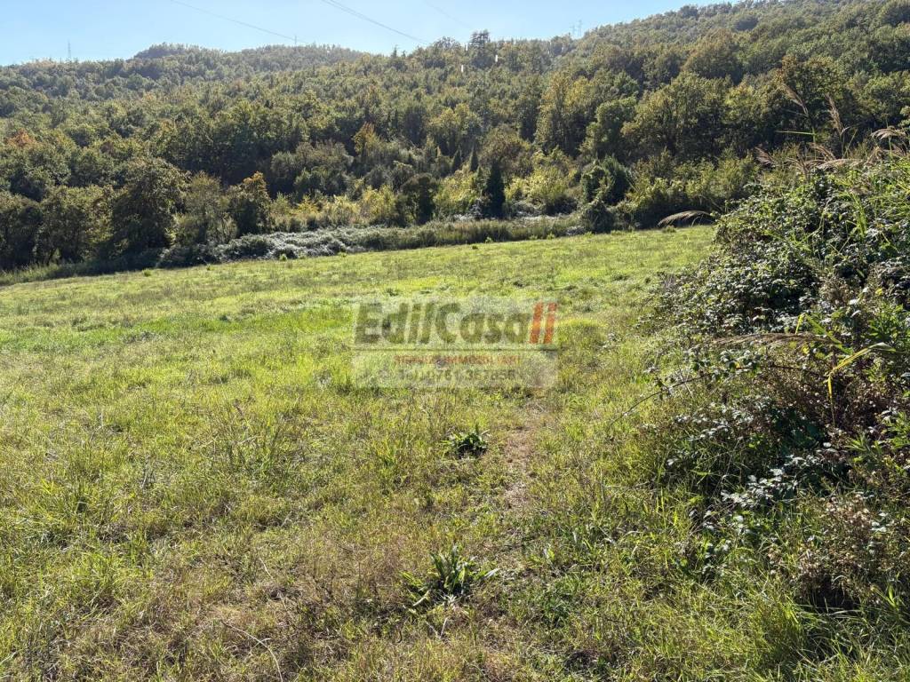 immagine annuncio 2 di 3