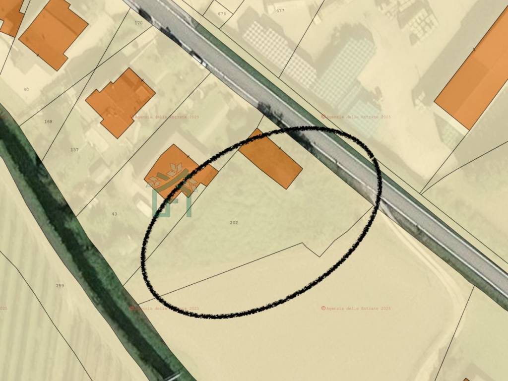 immagine annuncio 3 di 4