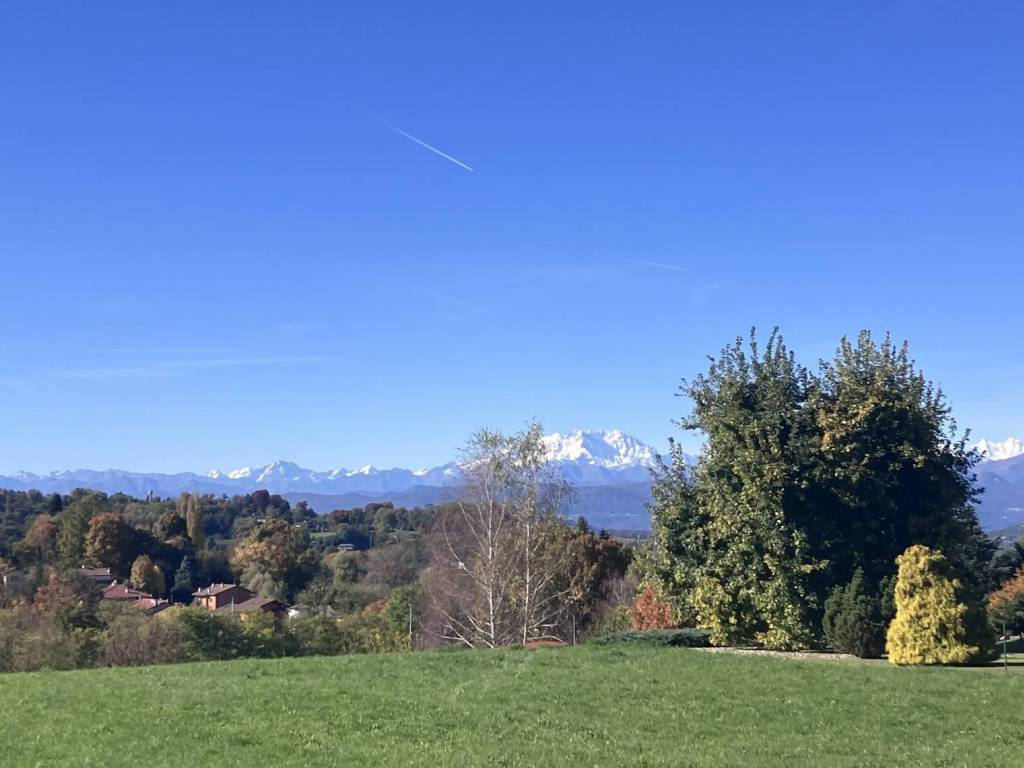 immagine annuncio 1 di 2