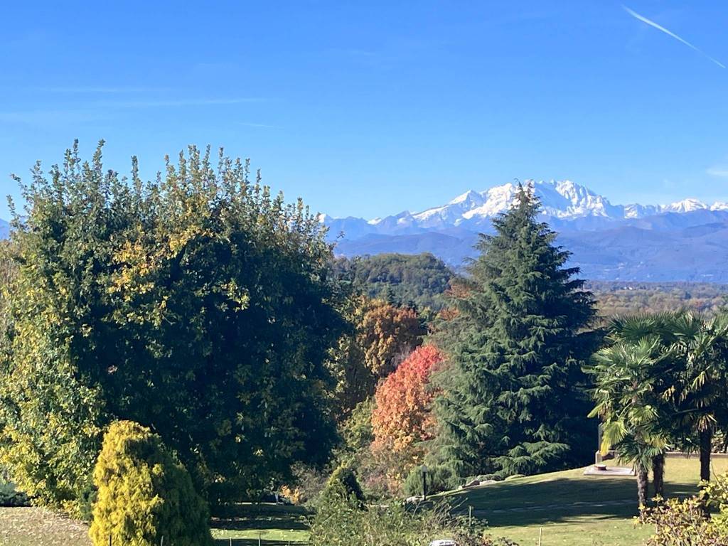 immagine annuncio 1 di 3