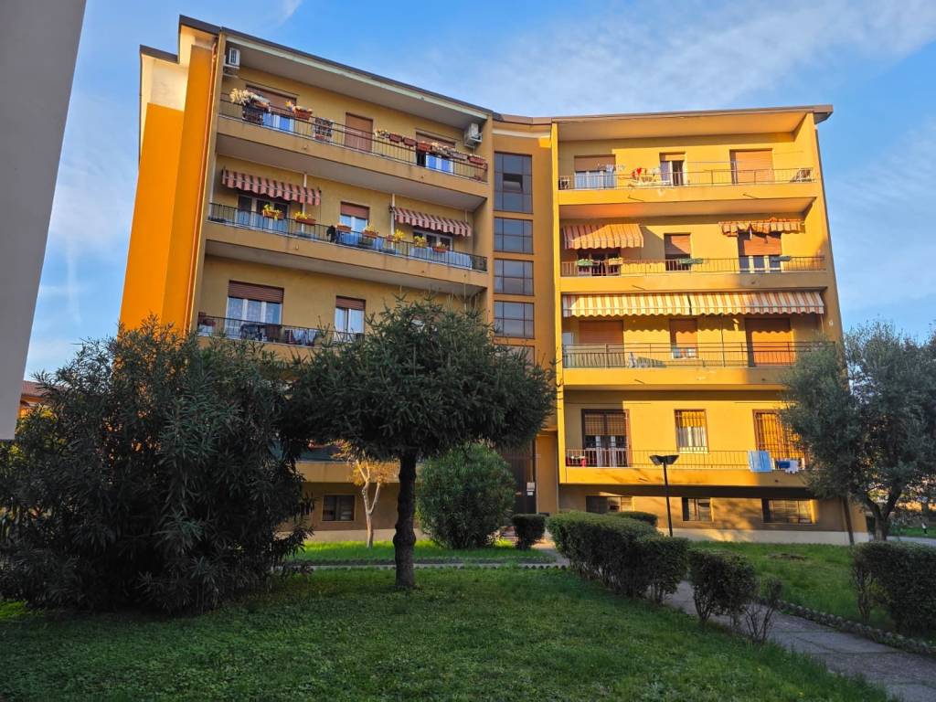 immagine annuncio 1 di 5