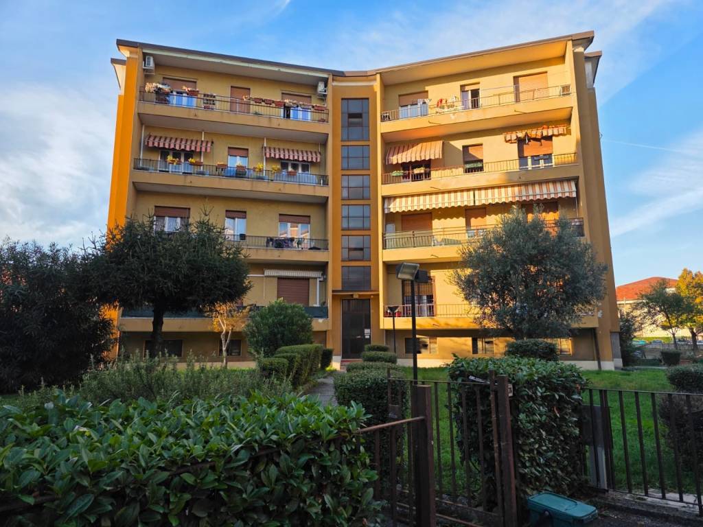 immagine annuncio 2 di 5