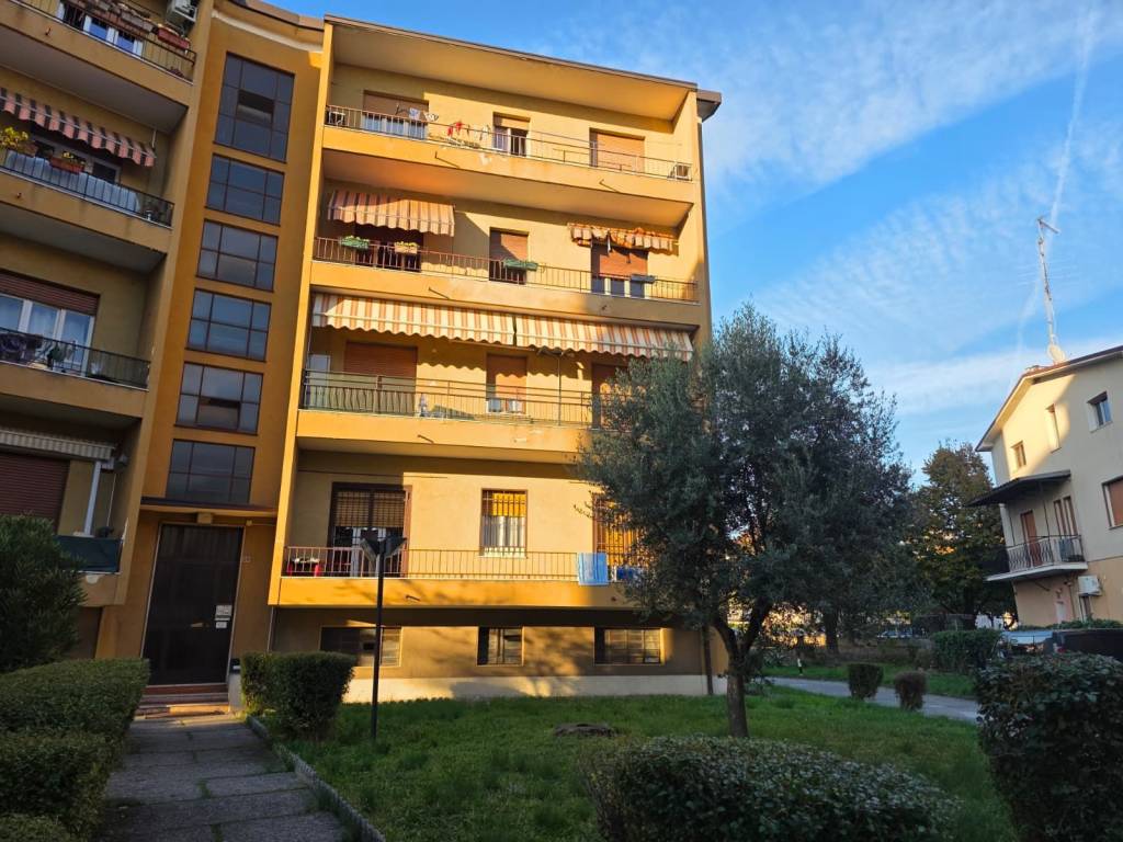 immagine annuncio 3 di 5