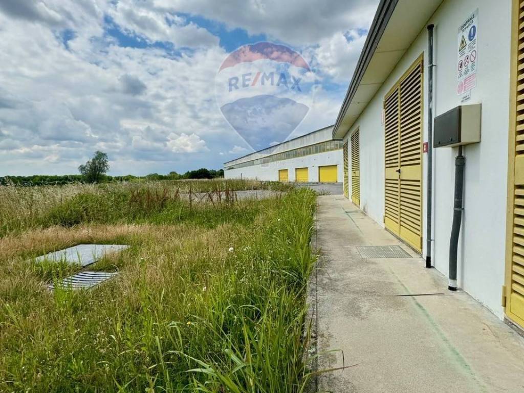 immagine annuncio 4 di 5