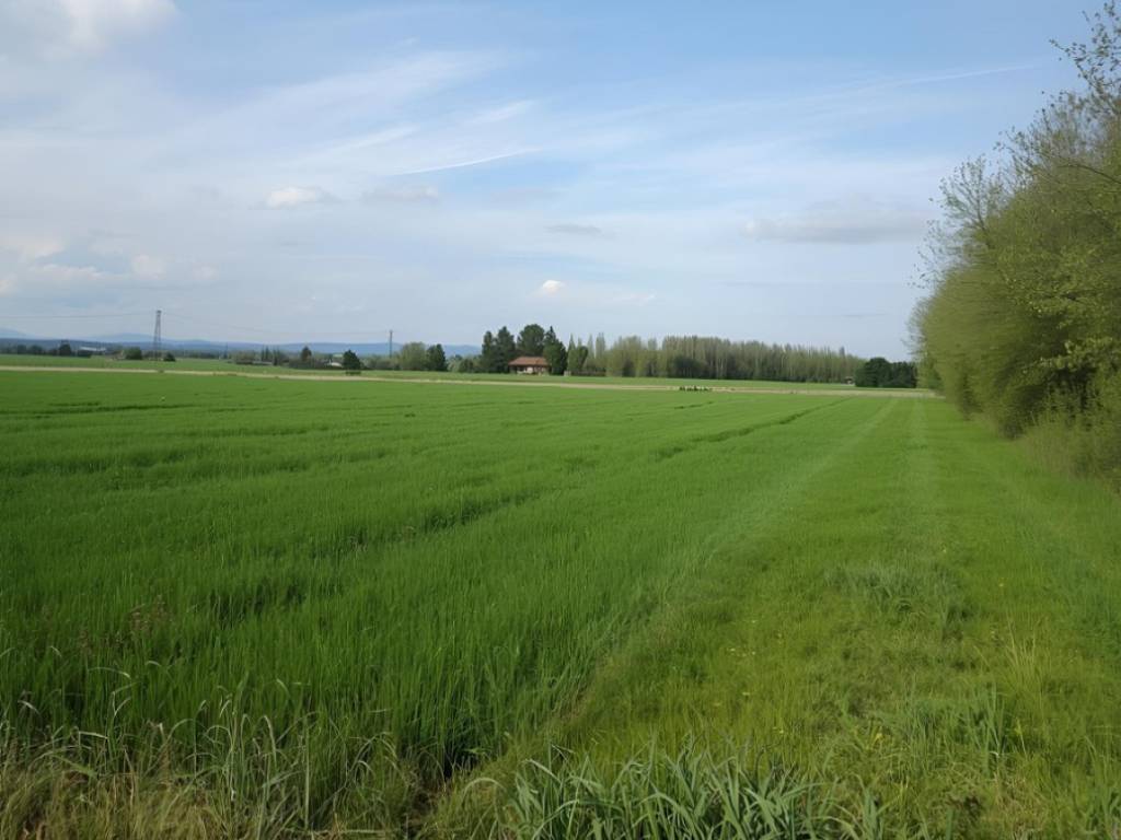 immagine annuncio 1 di 2