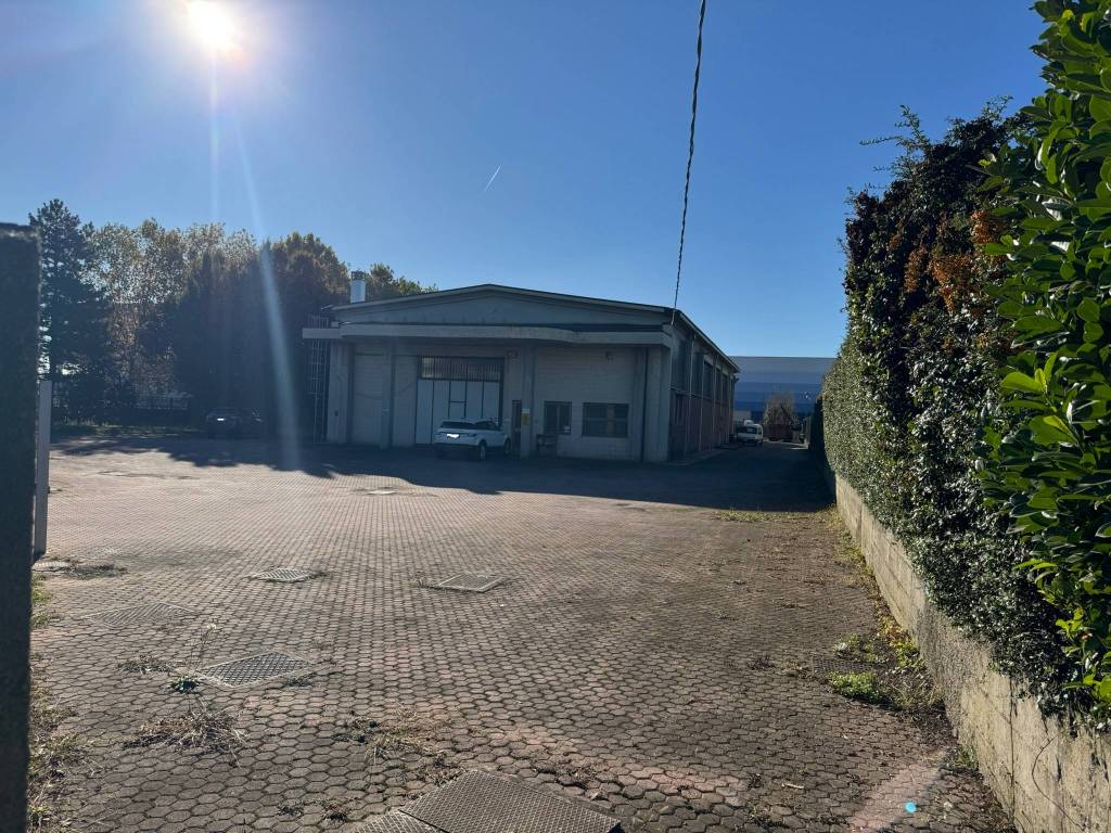 immagine annuncio 3 di 5