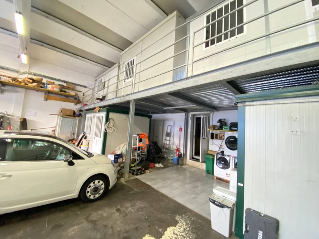 immagine annuncio 4 di 5