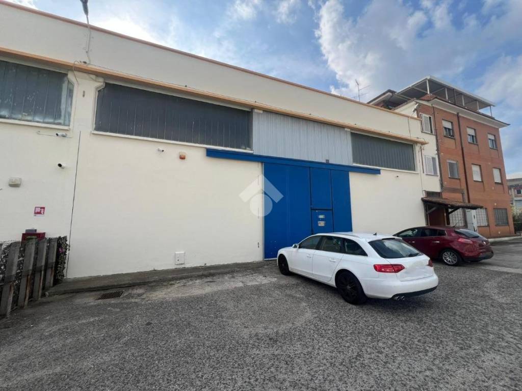 immagine annuncio 3 di 5