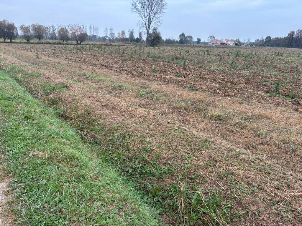 immagine annuncio 1 di 4