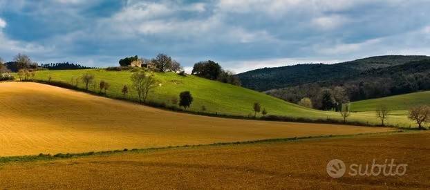 immagine annuncio 1 di 3