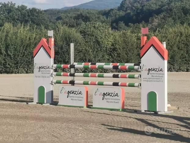 immagine annuncio 2 di 3