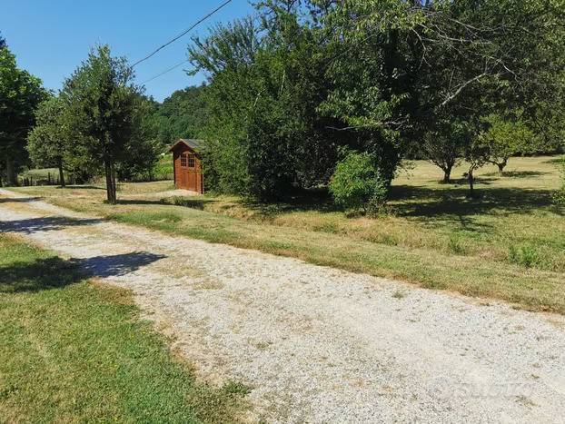 immagine annuncio 1 di 5